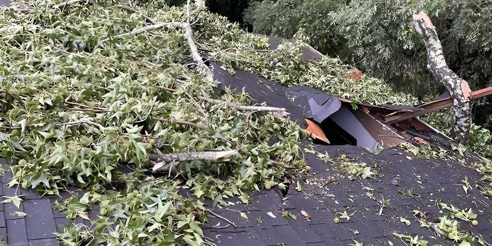 Jaco Contracting Storm Damage Repair Expert